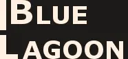 bluelagoonwellness.be